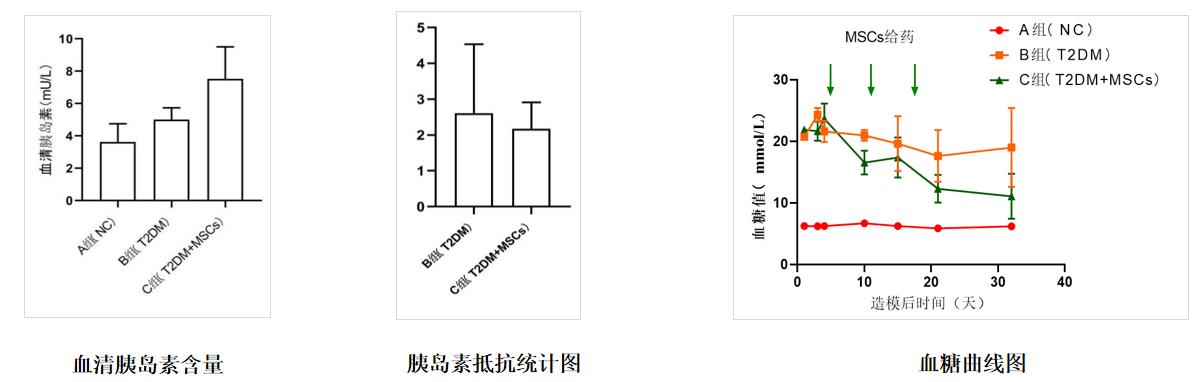 臨床藥效學研究