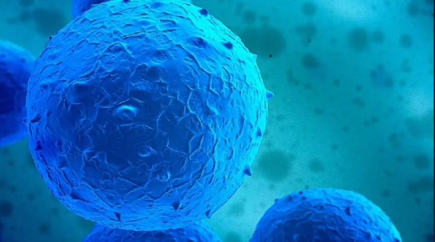 達(dá)博生物人臍帶間充質(zhì)干細(xì)胞Ⅰ期臨床研究啟動(dòng)會(huì)順利召開！